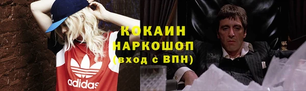 стафф Алексин