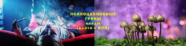 стафф Алексин