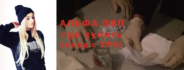 стафф Алексин