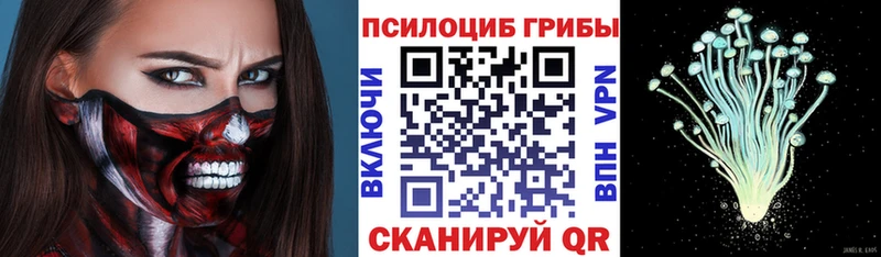 Галлюциногенные грибы прущие грибы  что такое наркотик  Дно 